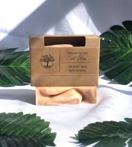 Natural Soap: Sweet Citrus